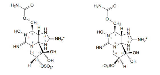 1666775829483863.png image.png